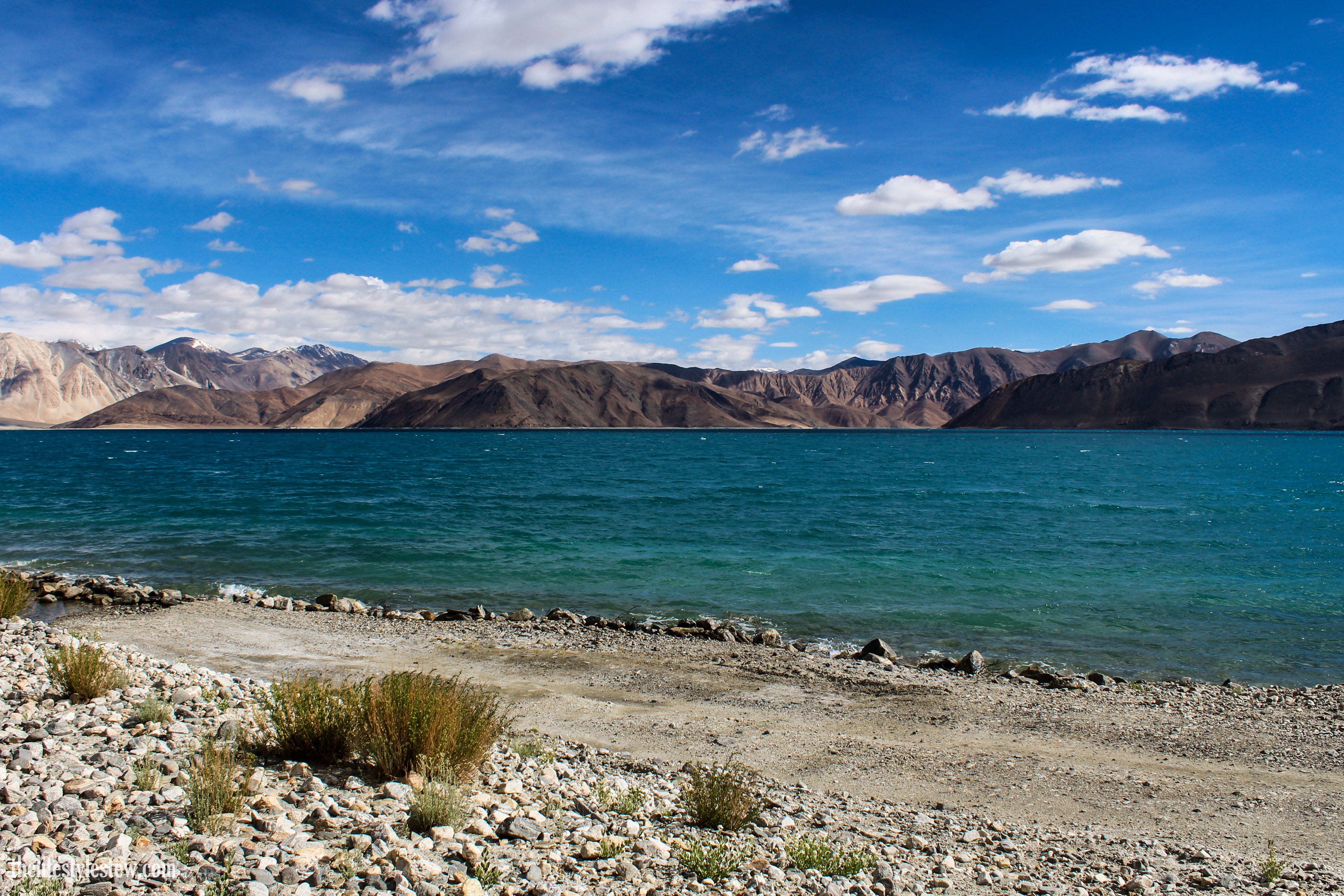 The mystical Pangong Tso