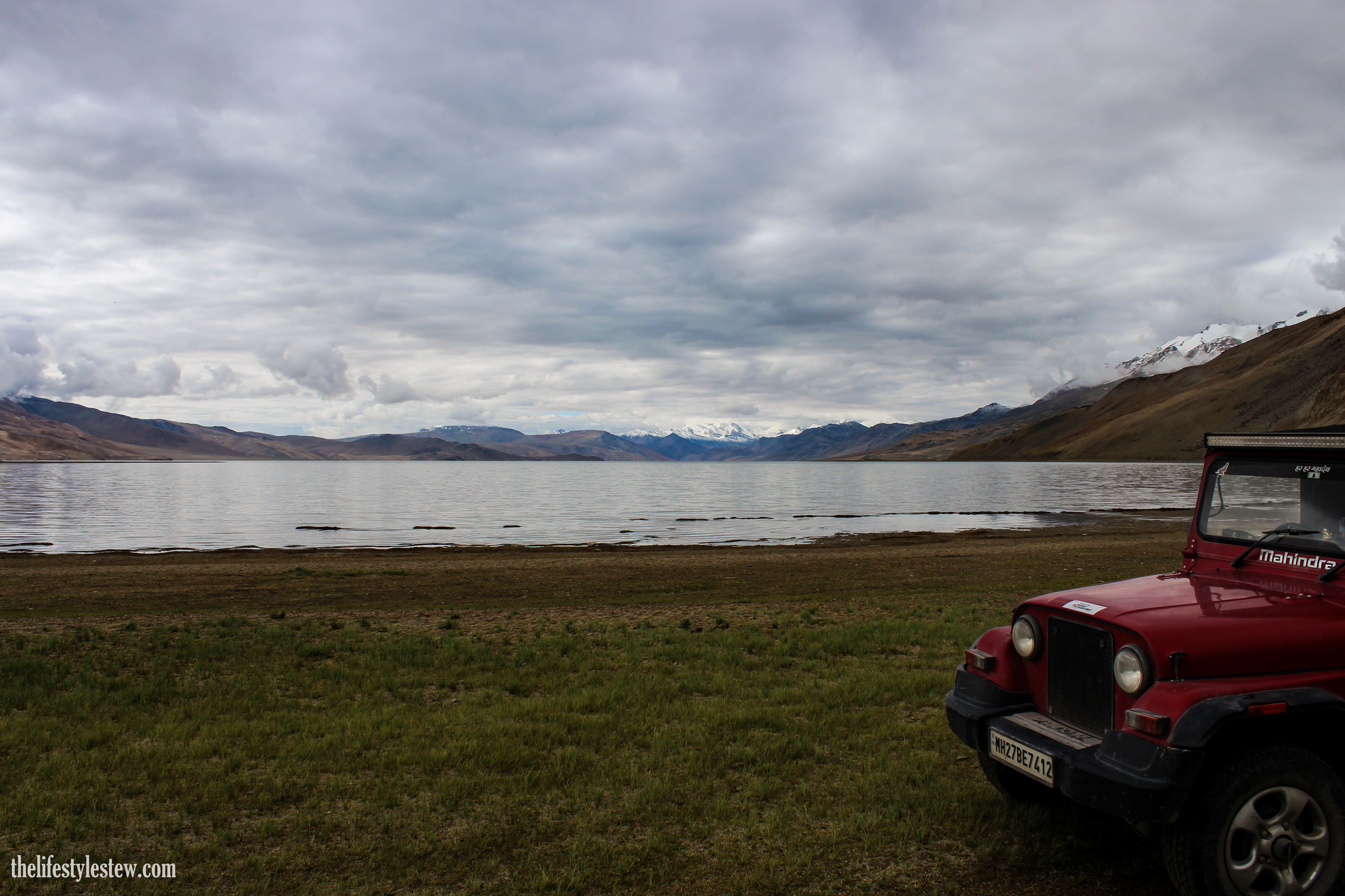 Thar aka Thor chilling at Tso Moriri